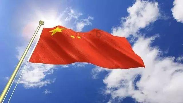 宝藏姐辛芷蕾治好了我的内耗，内娱活人怎能少了她